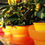 Miniatura: Formwechsels Blumendeck ( Kerzendeck)