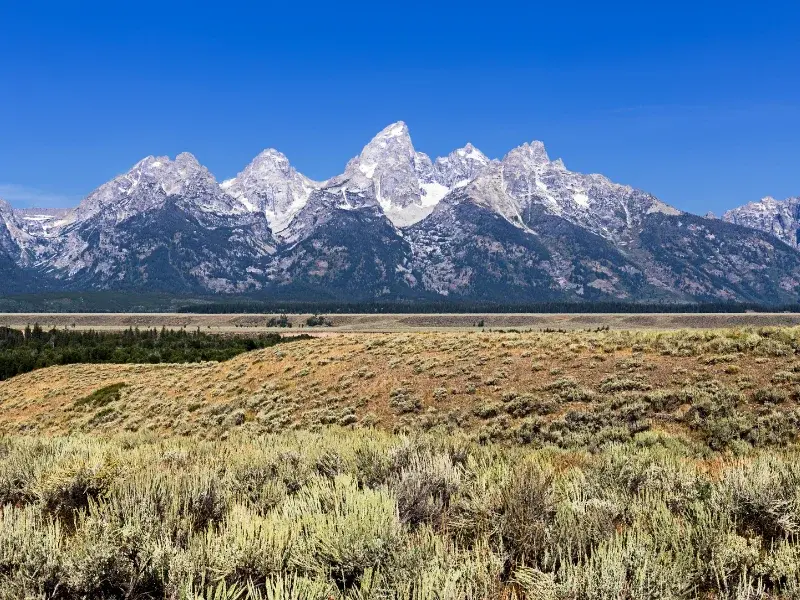 a large mountain range in front of a flat of sage brush and forest