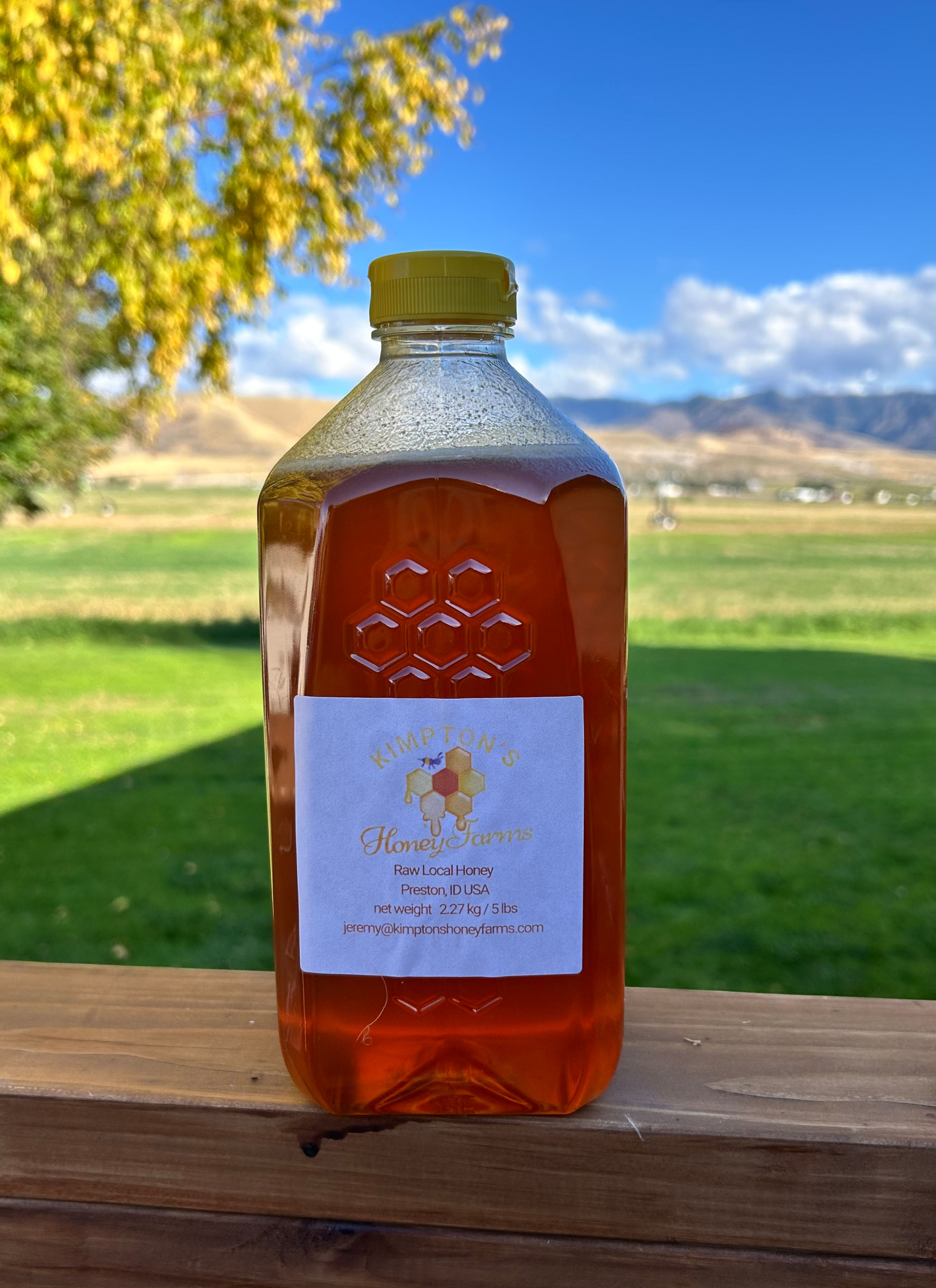 Raw Wildflower Honey 5lbs