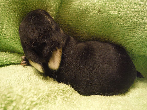 DSCF8035.JPG