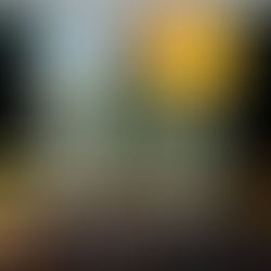 "Descubriendo la Esencia de la Ginebra: Historia, Estilos, Coctelería y Tendencias" 