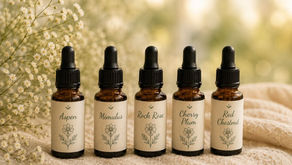 Fünf Pipettenfläschchen mit Bachblütenessenzen bei Angst: Aspen, Mimulus, Rock Rose, Cherry Plum und Red Chestnut vor weißen Blüten.