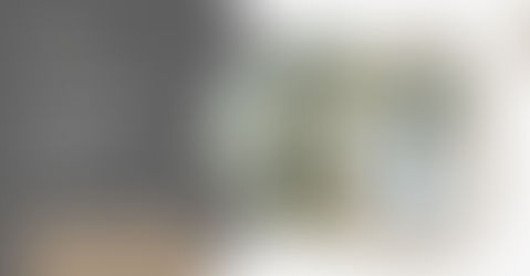 Modern home elevators and lifts by MaxItalia, designed for residential safety and family-friendly accessibility.