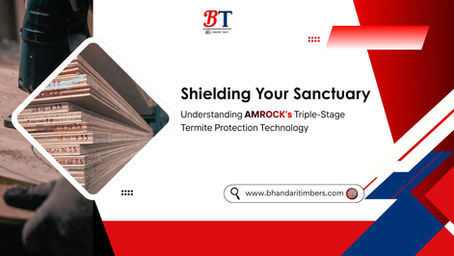 Triple-Stage Termite Protection concept with timber stack and modern graphic design highlighting AMROCK’s protection technology