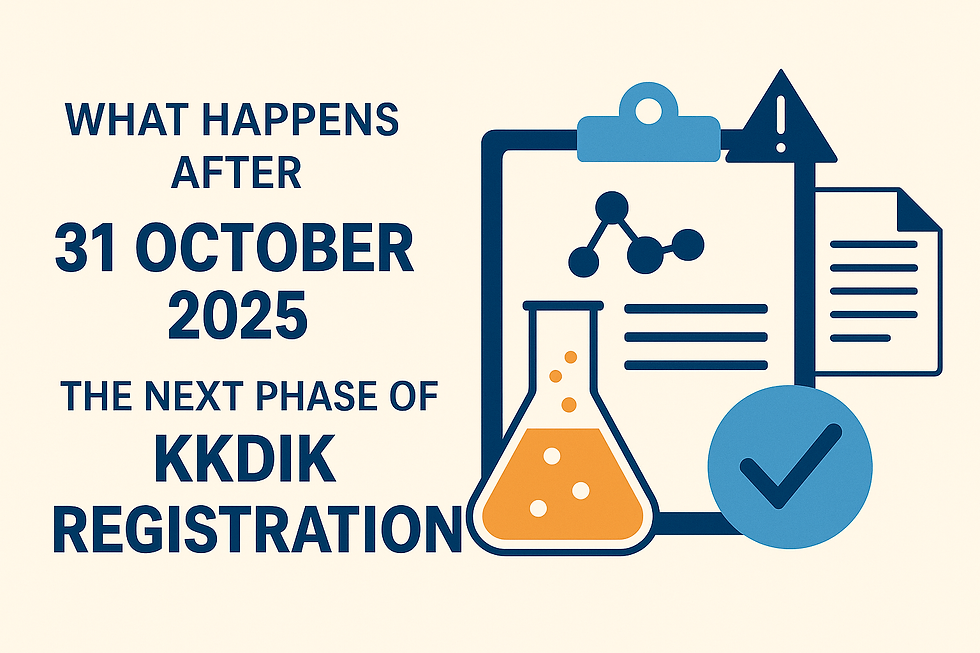What Happens in KKDİK After 31 October 2025?