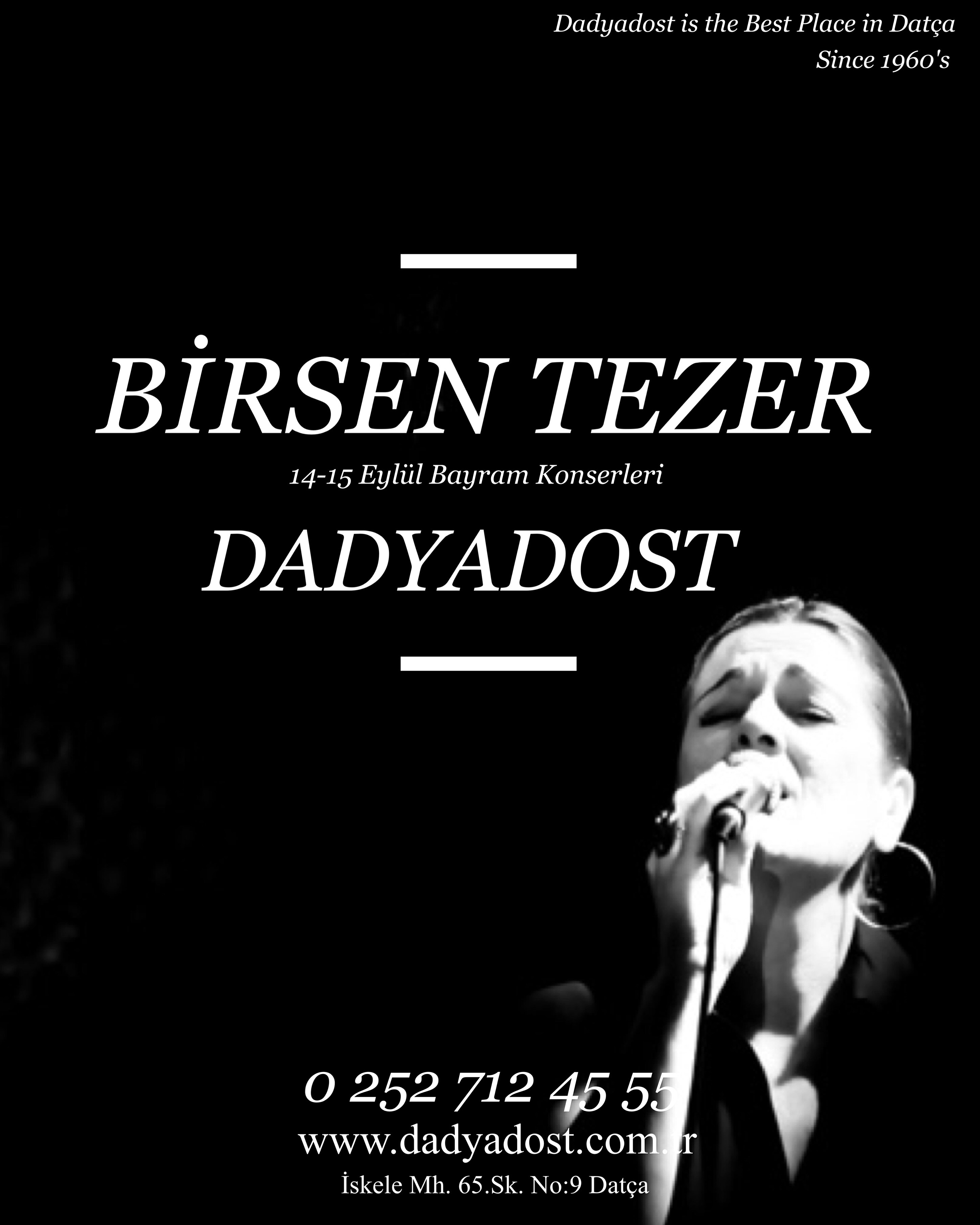 Birsen Tezer Son