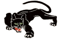panther.gif