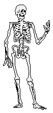 skeleton-ellie.gif