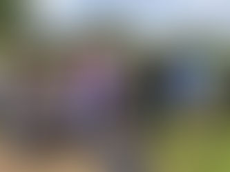 Attività di plogging al Parco Villa Filippo De Santis