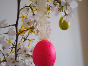 Stepping into Spring