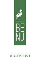BENU logo 2.jpeg