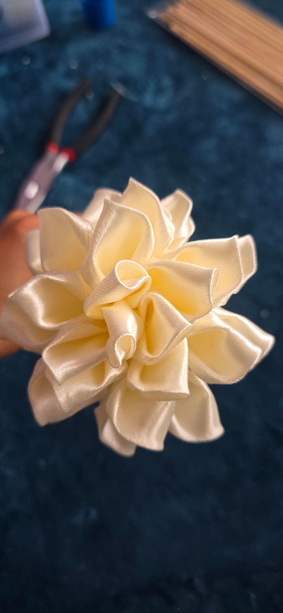 Miniature : Dahlia