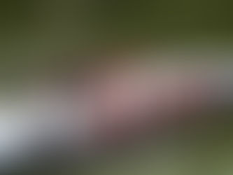 【TCS Friday Experiential Learning|G7-G9 Rowing in Rhythm!】