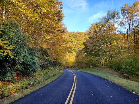 Winding Road with trees in the Fall