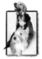 Murphy, Kelly & Snowy