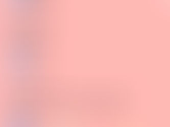 Organização mais fofa do mundo