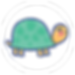 turtle for website (1).png