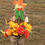 Thumbnail: Sample Arrangements