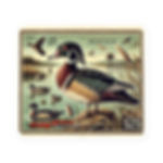 T1C Wood Duck Stamp Decal
