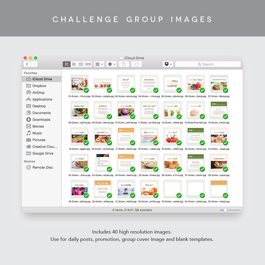 Thumbnail: 5 Day Gluten-Free Challenge Group Kit