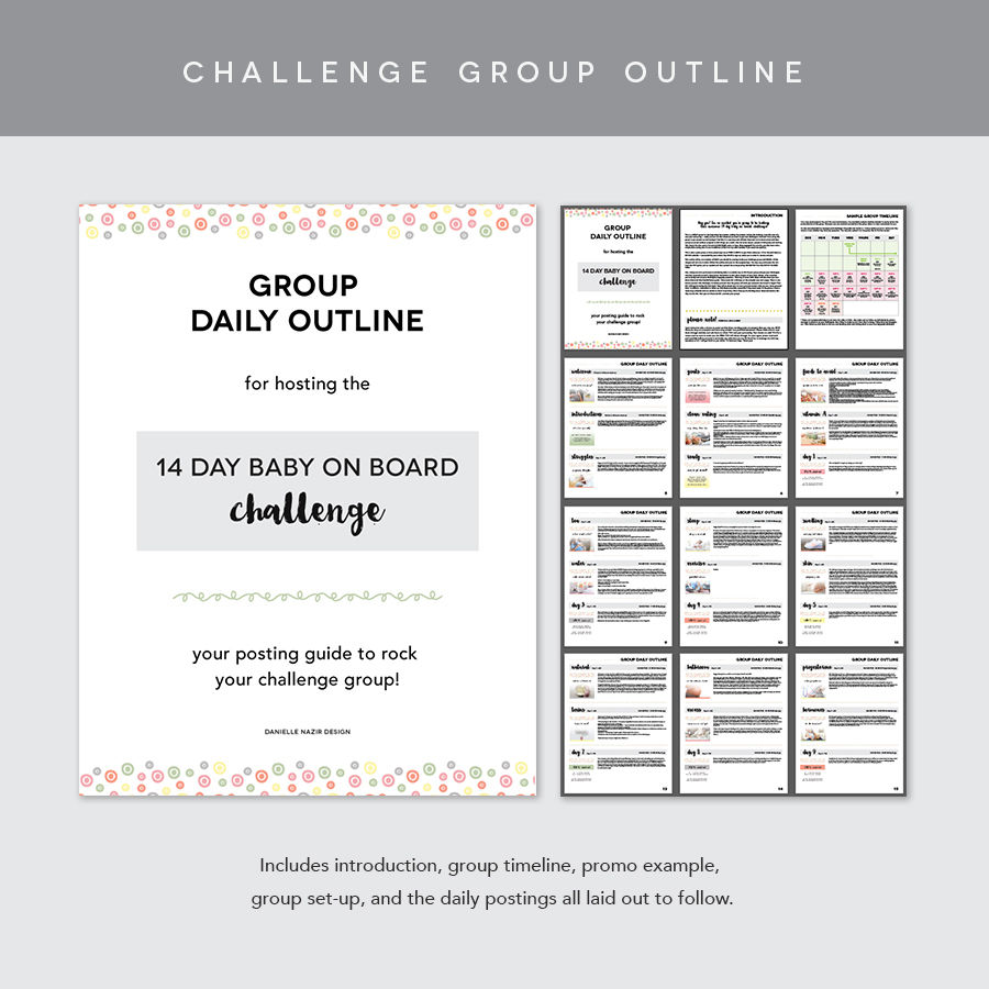 Thumbnail: 14 Day Baby on Board Challenge Group Kit