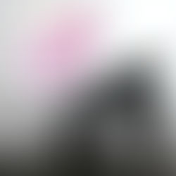 «Lake Ohrid muses - travel to Manhattan»