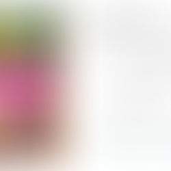 BE FREE - EXHIBITION VULKAN