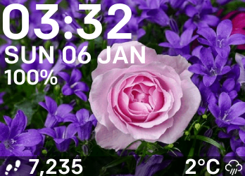 Flowers