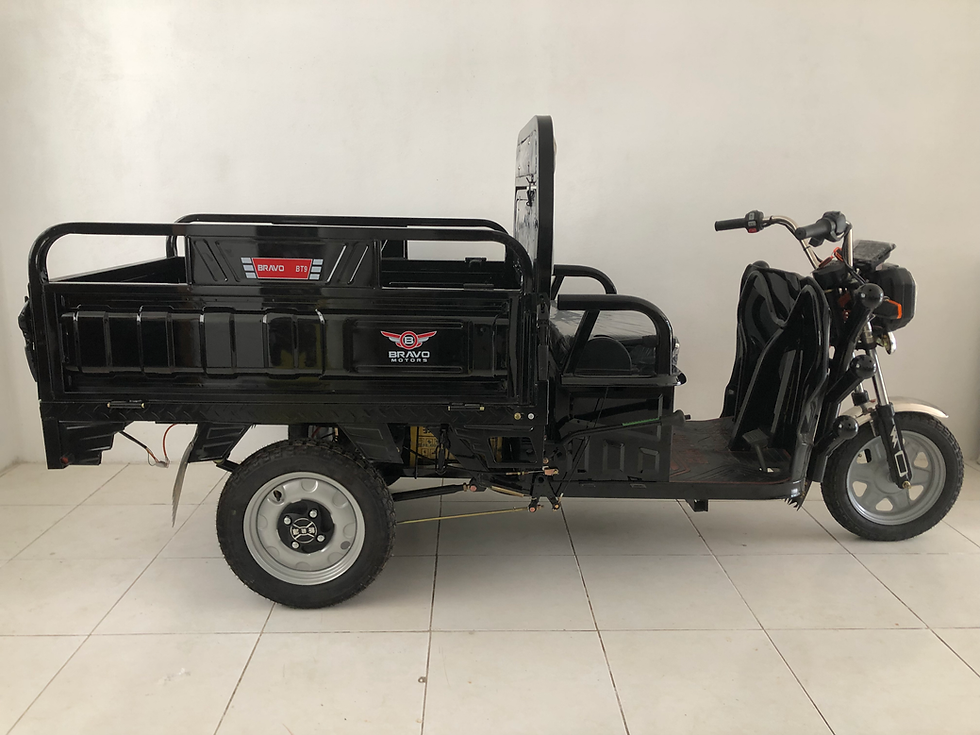 Miniatura: Tricimoto eléctrico con cajón abatible y dual BT6