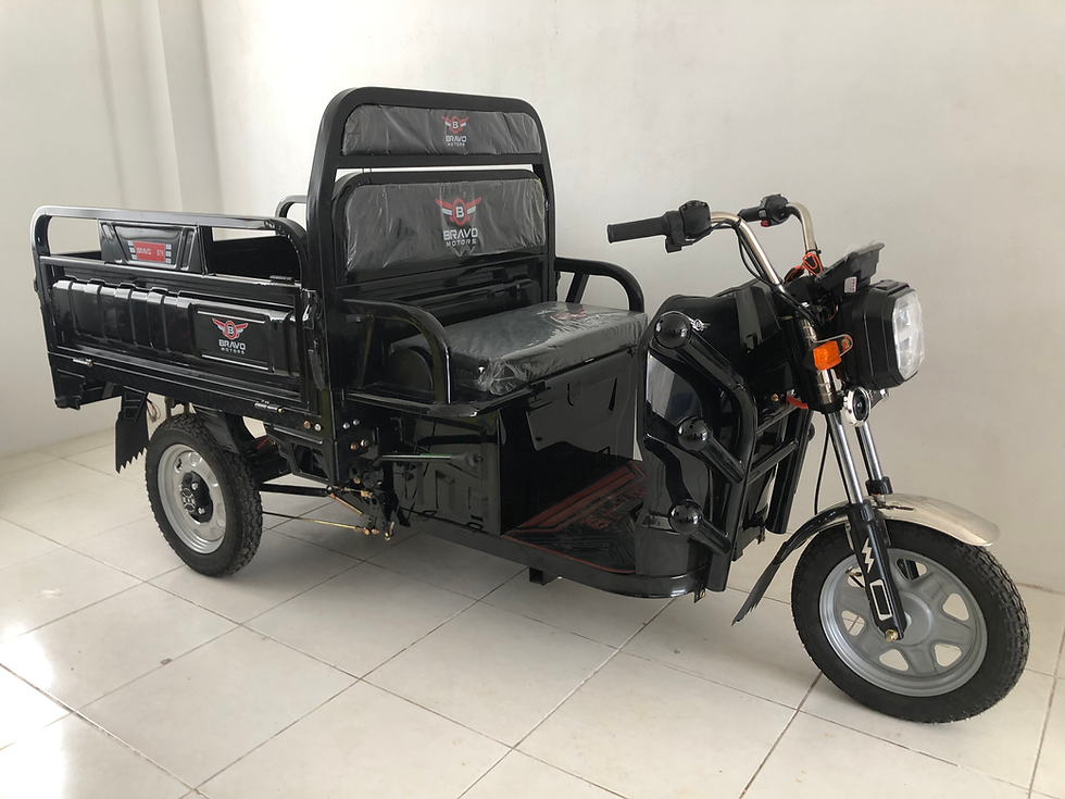Miniatura: Tricimoto eléctrico con cajón abatible y dual BT6