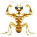 UPBR_WIX_Ant-Symbol-05-min.png