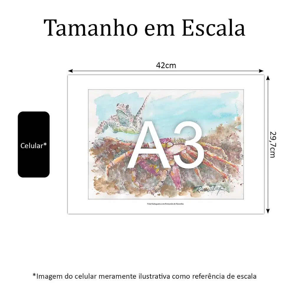 Miniatura: Vida Subaquática em Fernando de Noronha