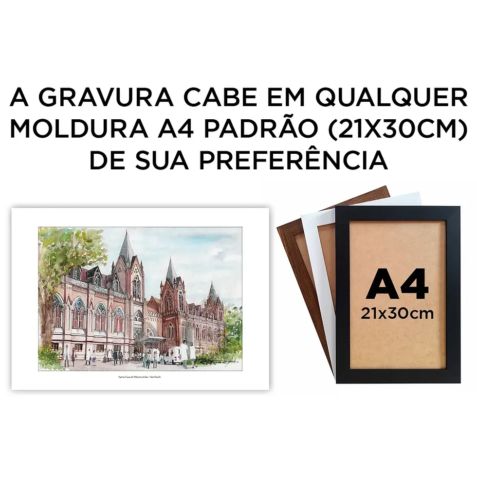 Miniatura: Santa Casa de Misericórdia - São Paulo