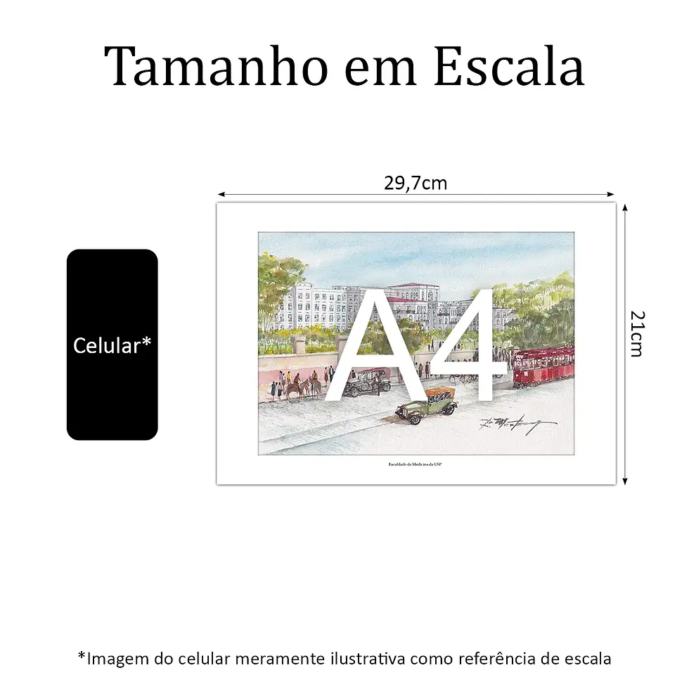 Miniatura: Faculdade de Medicina da USP