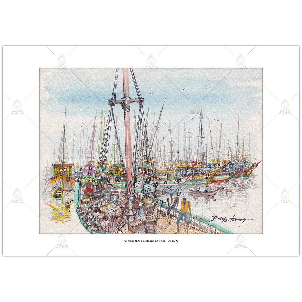 Ancoradouro e Mercado de Peixe - Ubatuba