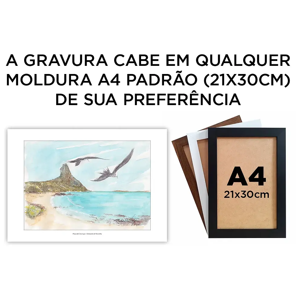 Miniatura: Praia da Conceição - Fernando de Noronha