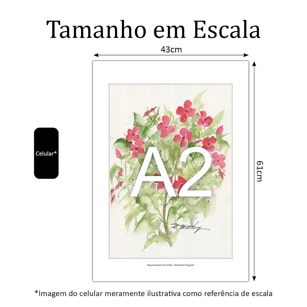 Miniatura: Pequenas Flores Vermelhas - Maria Sem Vergonha