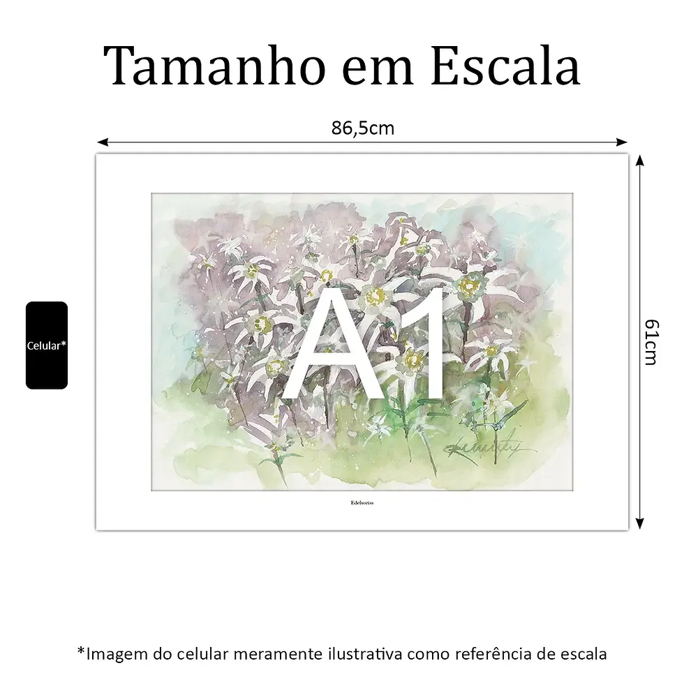 Miniatura: Flor Edelweiss