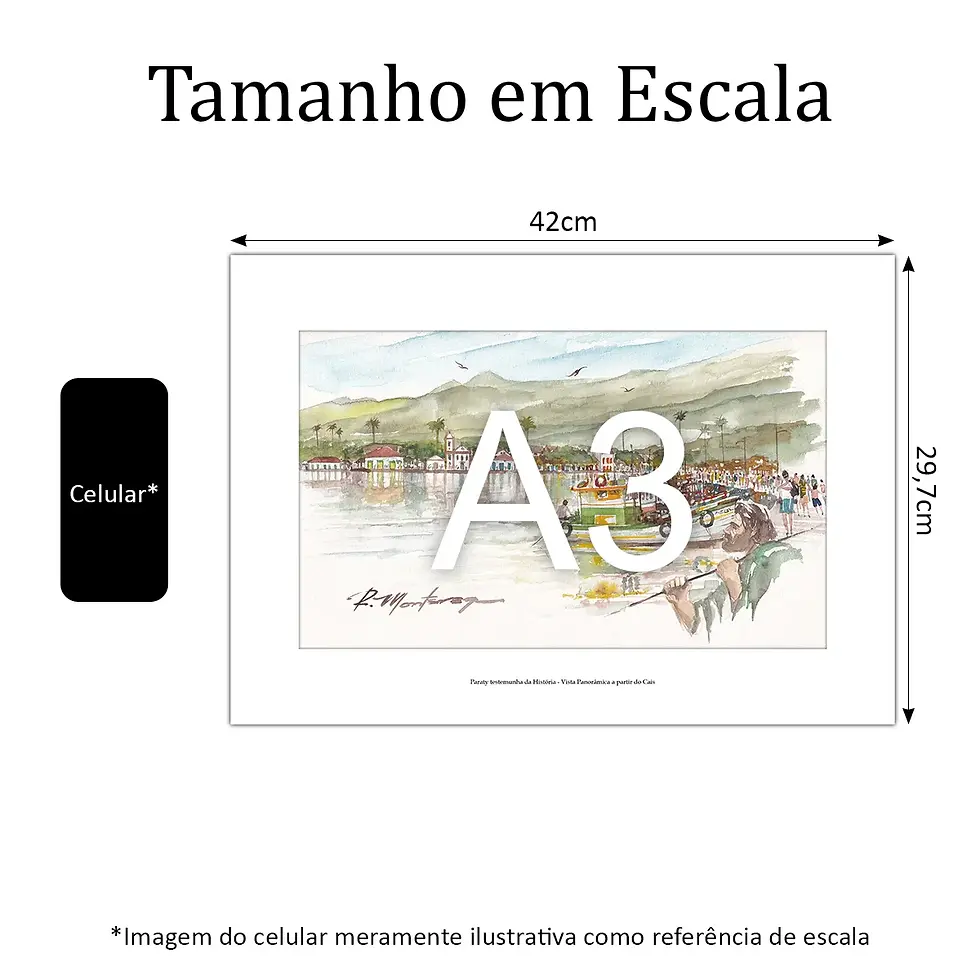 Miniatura: Paraty testemunha da História - Vista Panorâmica a partir do Cais