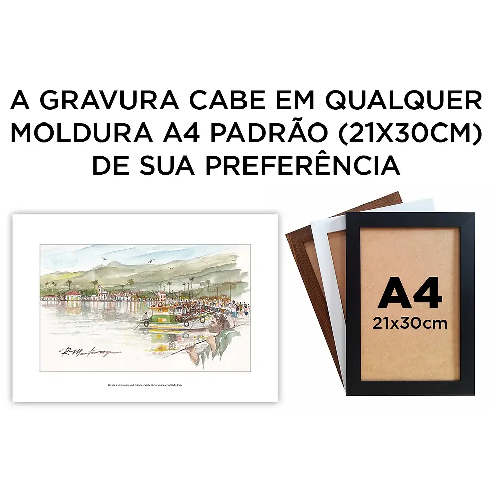 Miniatura: Paraty testemunha da História - Vista Panorâmica a partir do Cais