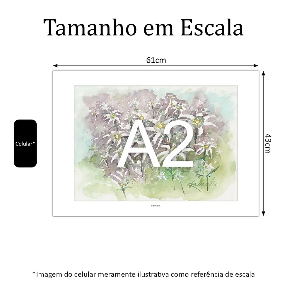 Miniatura: Flor Edelweiss