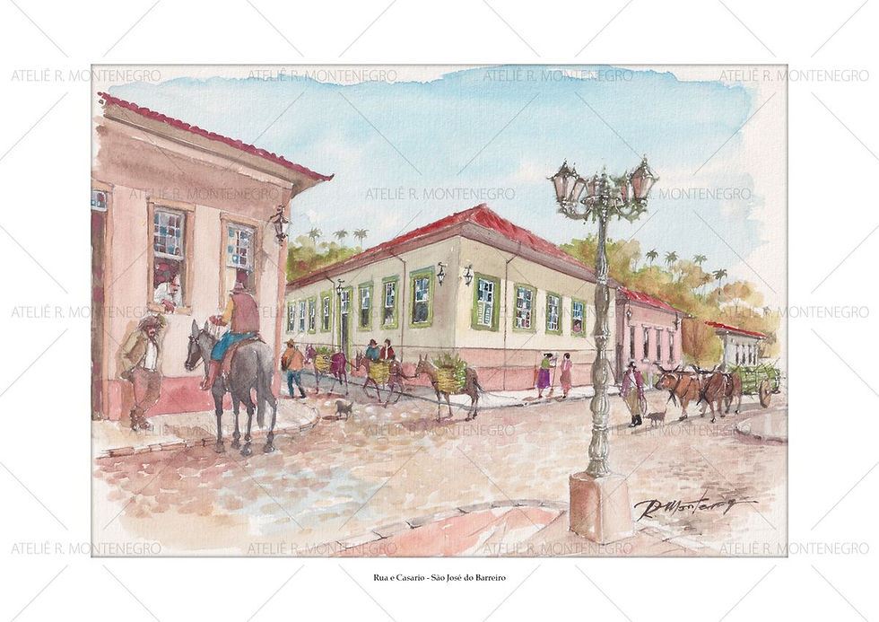Rua e Casario - São José do Barreiro