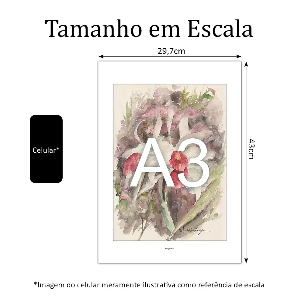 Miniatura: Flores Orquídeas