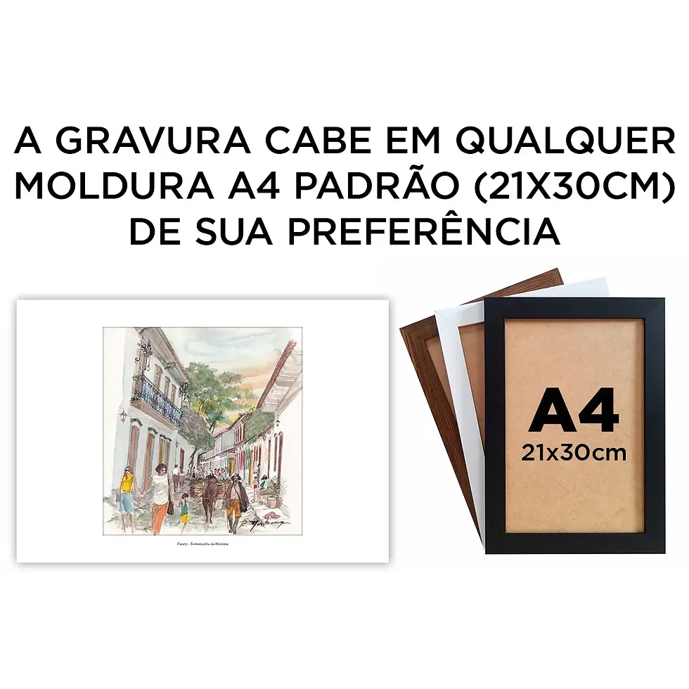 Miniatura: Paraty - Testemunha da História