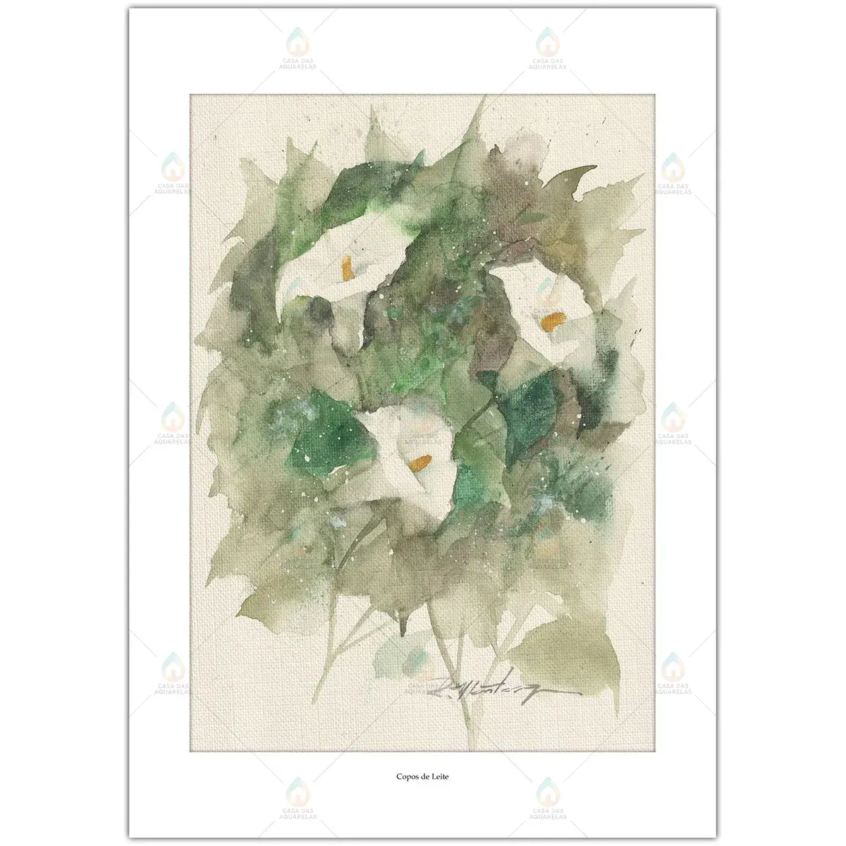 Flores Copos de Leite