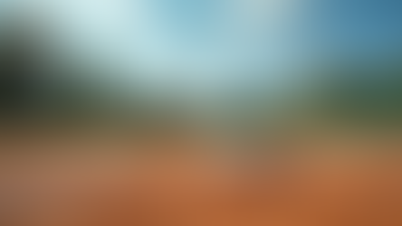 Player Profiles: Meet the Poison Darts Softball Stars