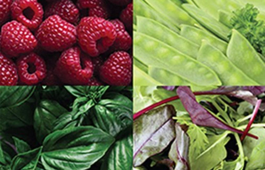 Fruits and vegetables.