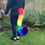 Thumbnail: Rainbow Cat Tail