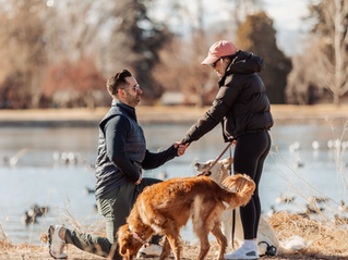 I Just Got Engaged! Now What?
