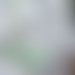 Capa de assadeira Térmica